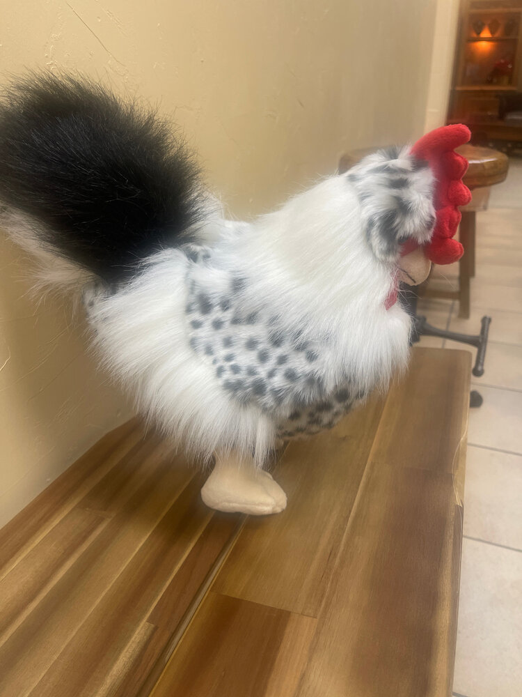Rambles the Rooster, 15 inch stuffed animal