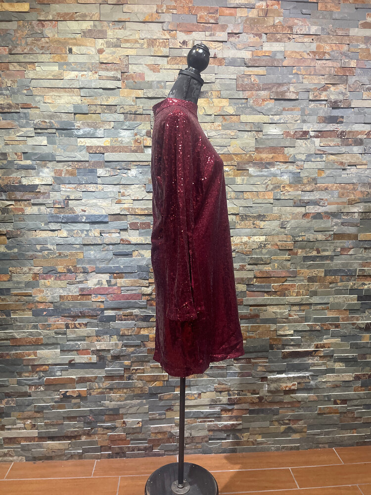 Red Sequined Bell Sleeved Dress Size 1X