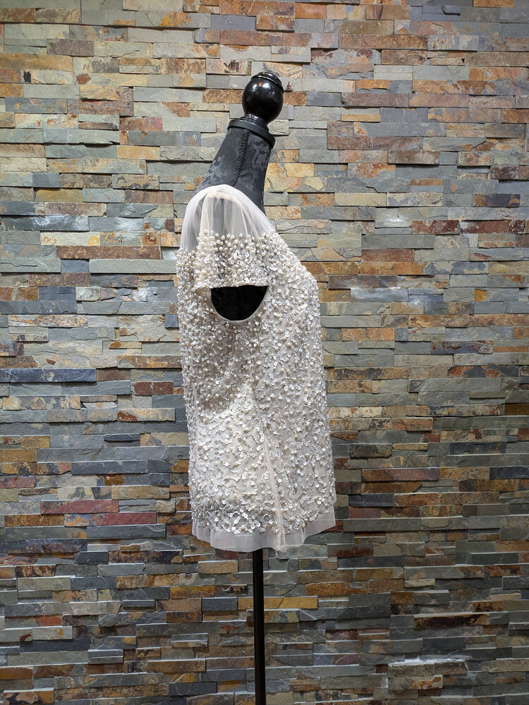 Adrianna Papell Biscotti Beige Sequin and Pearl Beaded Top, Size 14