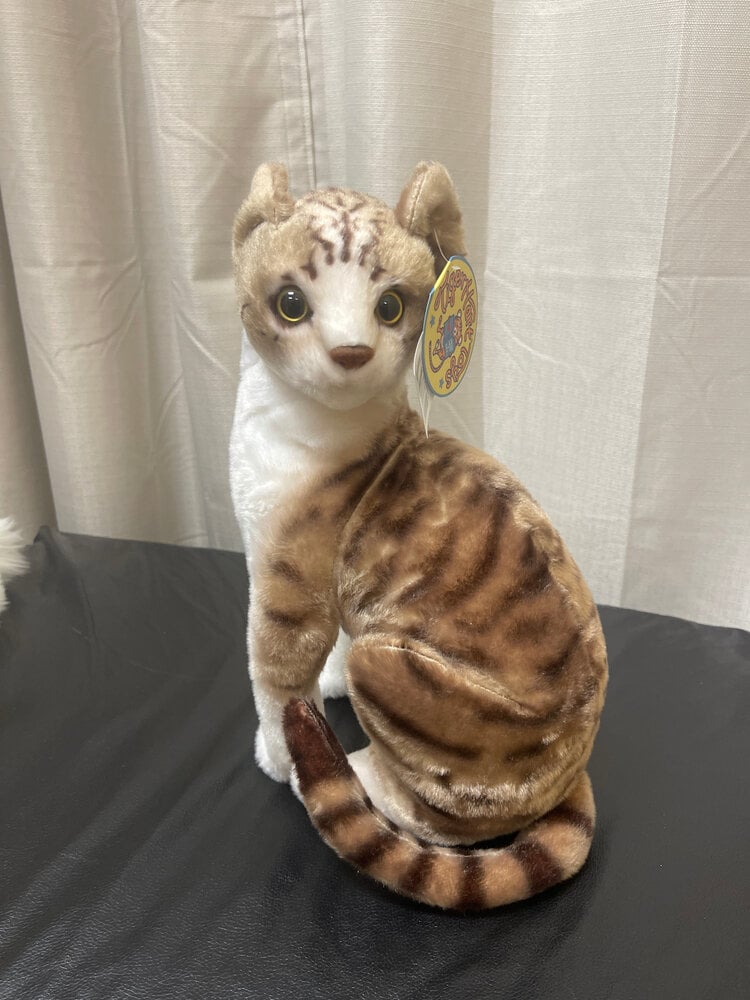 Amy the American Shorthair Cat (14 inches)