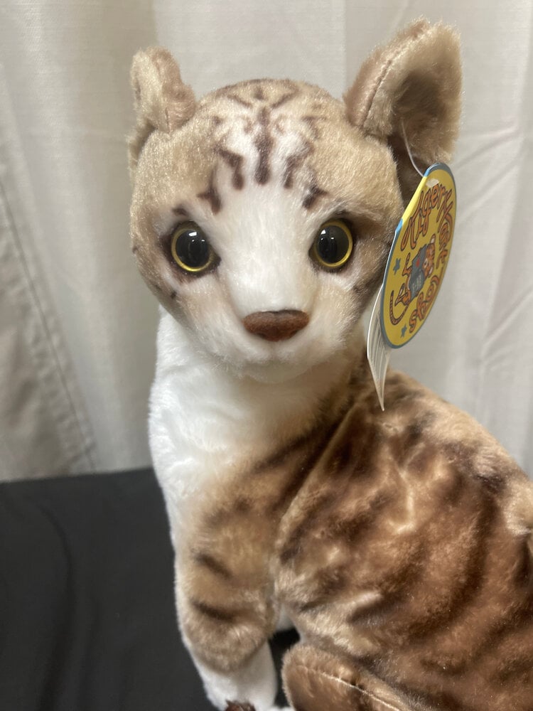 Amy the American Shorthair Cat (14 inches)