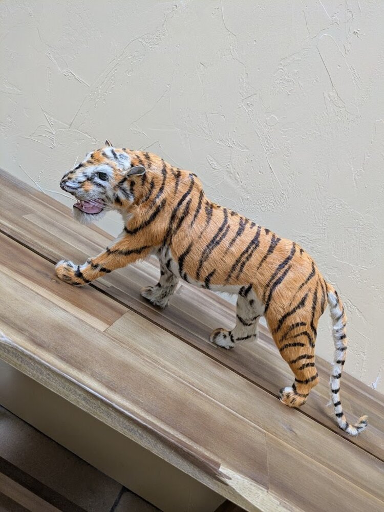 Real Fur Calfskin Tiger Figure