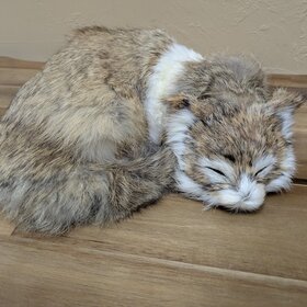 11" Real Rabbit Fur Figure, Sleeping Kitty