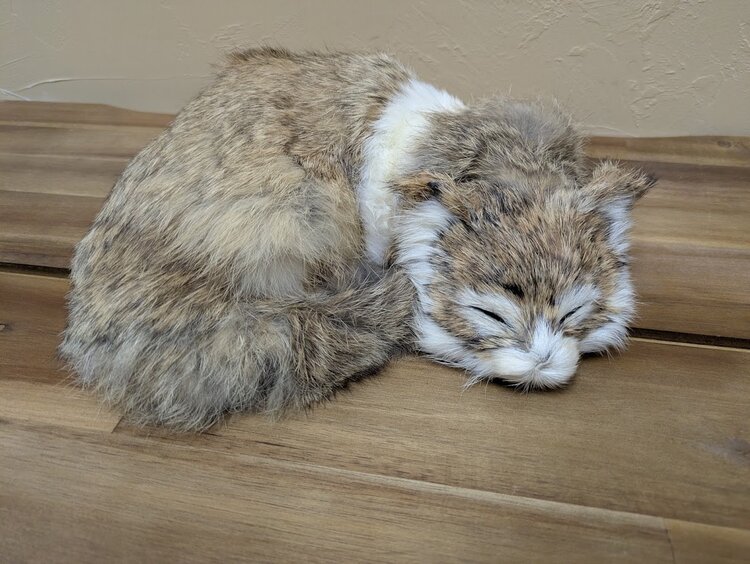 11" Real Rabbit Fur Figure, Sleeping Kitty