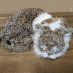 11" Real Rabbit Fur Figure, Sleeping Kitty White Blaze