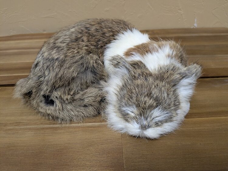 11" Real Rabbit Fur Figure, Sleeping Kitty White Blaze