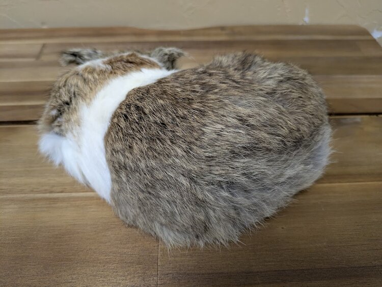 11" Real Rabbit Fur Figure, Sleeping Kitty White Blaze