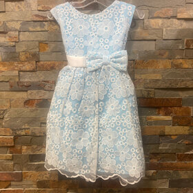 Light Blue Dress with Daisy Mesh Overlay, Size 6