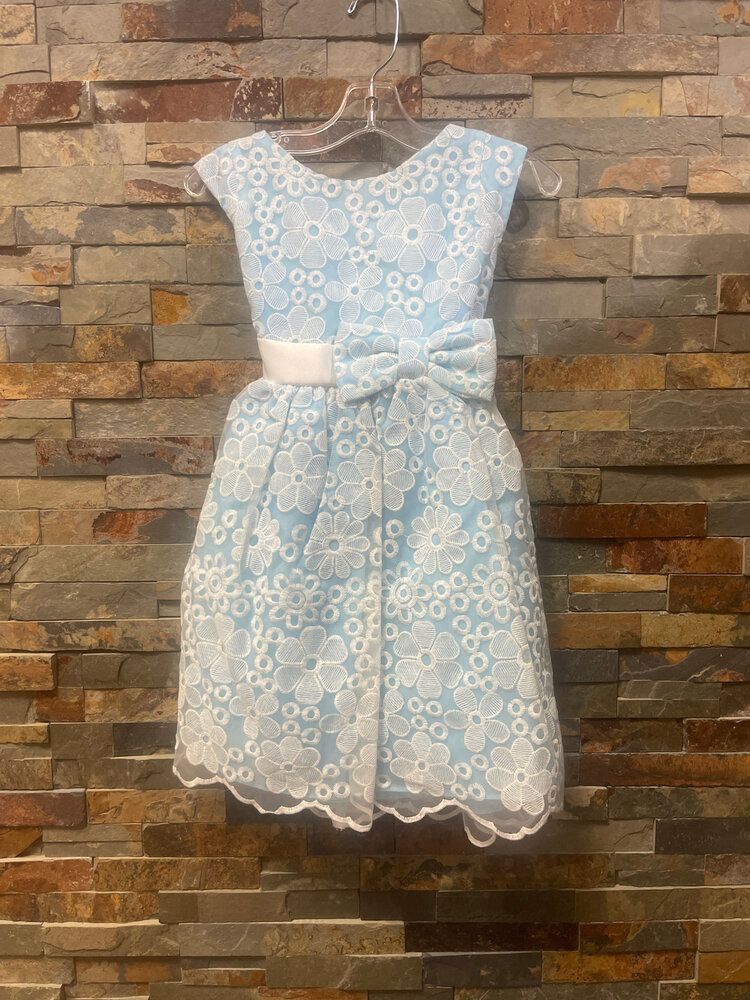 Light Blue Dress with Daisy Mesh Overlay, Size 6
