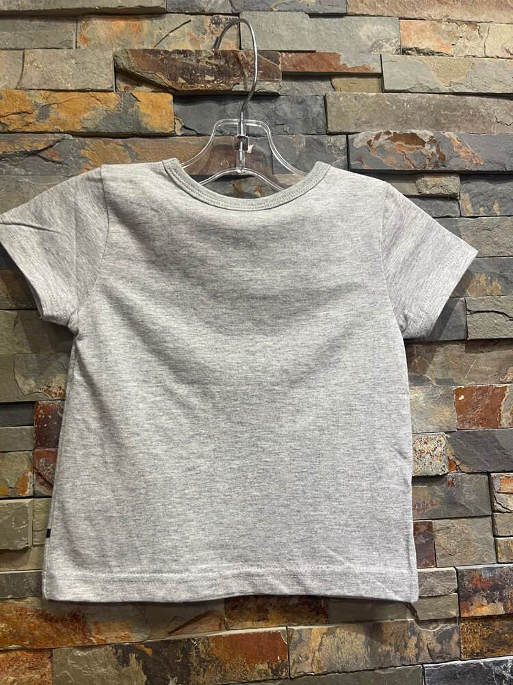 Gray Elephant Graphic T-Shirt