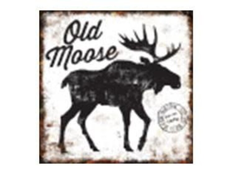 Affiche en métal -Old Moose