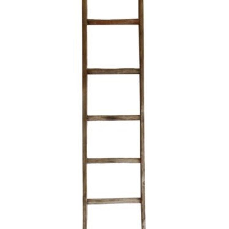 Echelle finis naturel