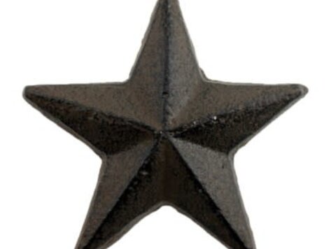 Poignée étoile de mer brune