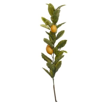 Branche de citrons  48"H