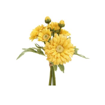 Fleurs - Chrysanthème jaune