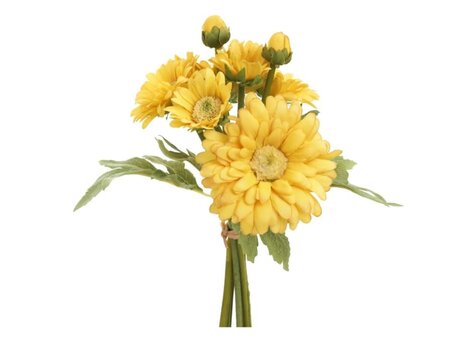 Fleurs - Chrysanthème jaune