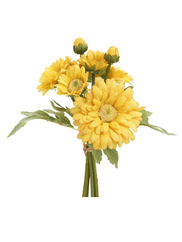 Fleurs - Chrysanthème jaune