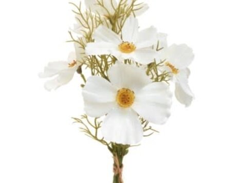 Branche Cosmos  6" X 14"