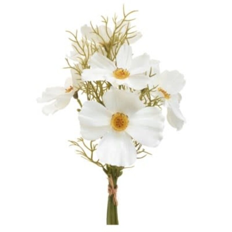 Branche Cosmos  6" X 14"