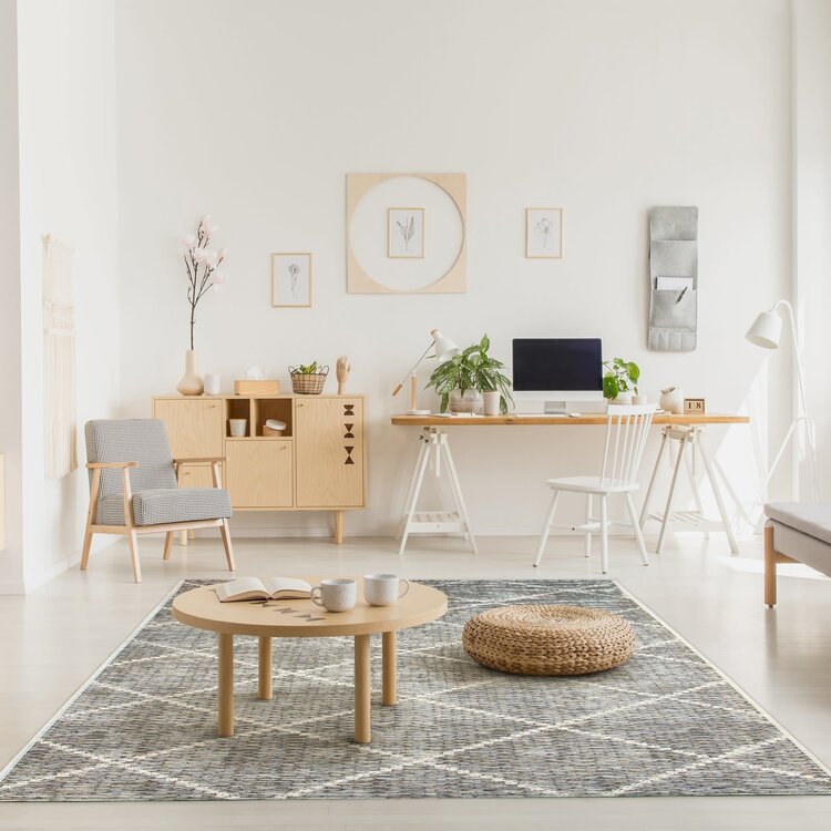 Tapis -Esterno Delano Ivory 4' x 6'