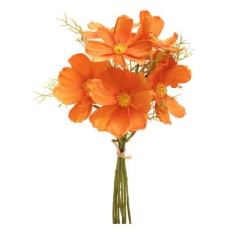 Branches Cosmos orange