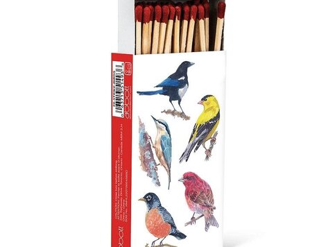 Allumettes - Oiseaux