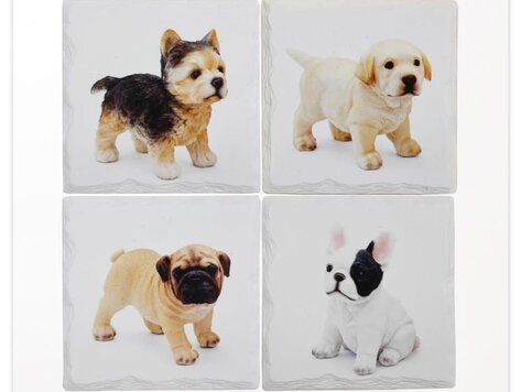 Sous-verres Chiots