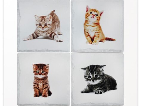 Sous-verres Chatons