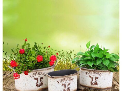 Pot ovale en métal Farm House - petit