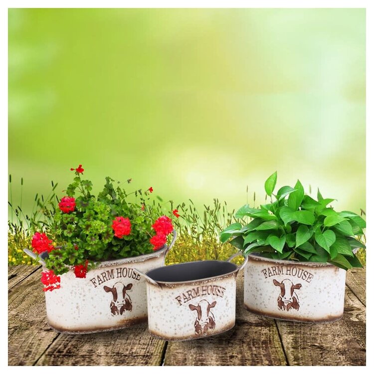 Pot ovale en métal Farm House - moyen