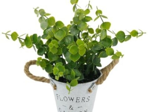 Pot à fleurs - Flowers & Garden