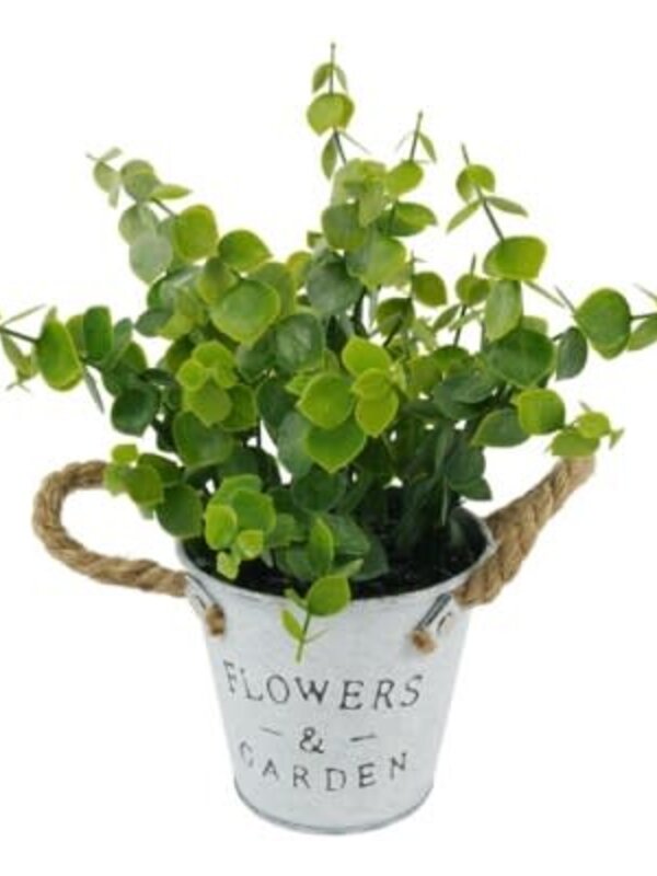 Pot à fleurs - Flowers & Garden
