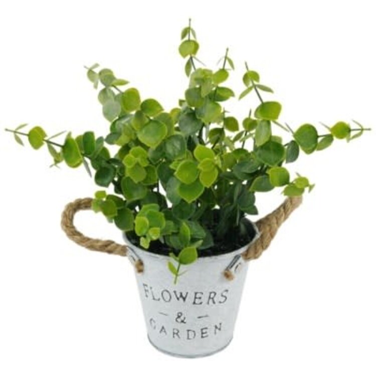 Pot à fleurs - Flowers & Garden