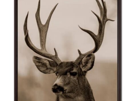Cadre Chevreuil élégant