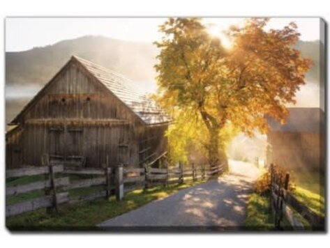 Cadre Route d'automne