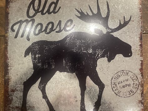 Affiche en métal - Old Moose