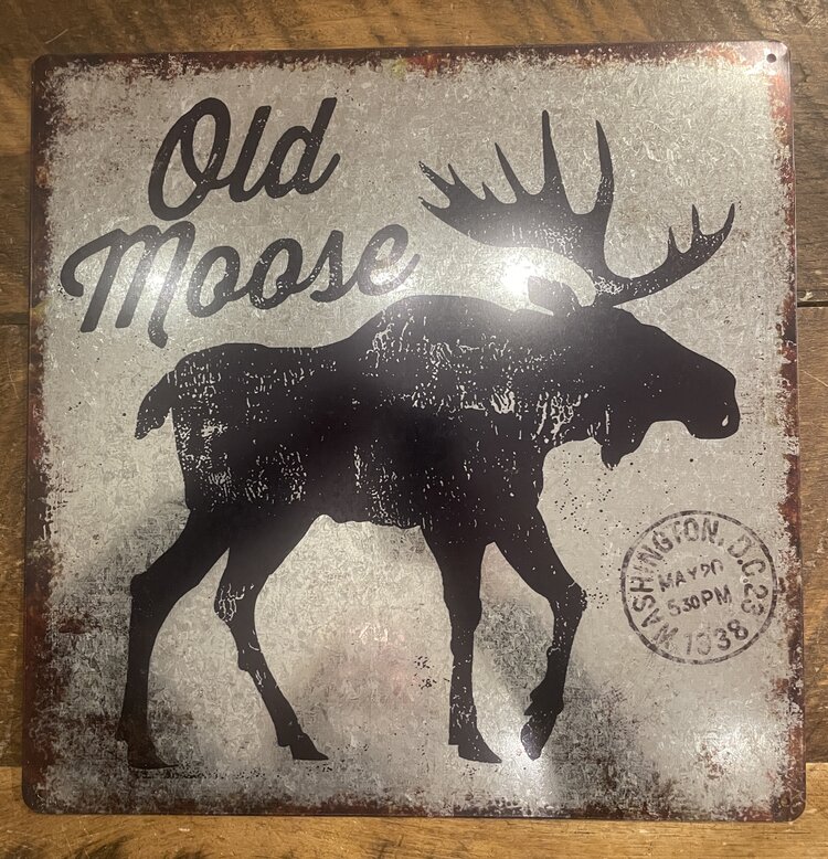 Affiche en métal - Old Moose