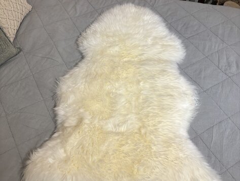 Peau de mouton  véritable blanche