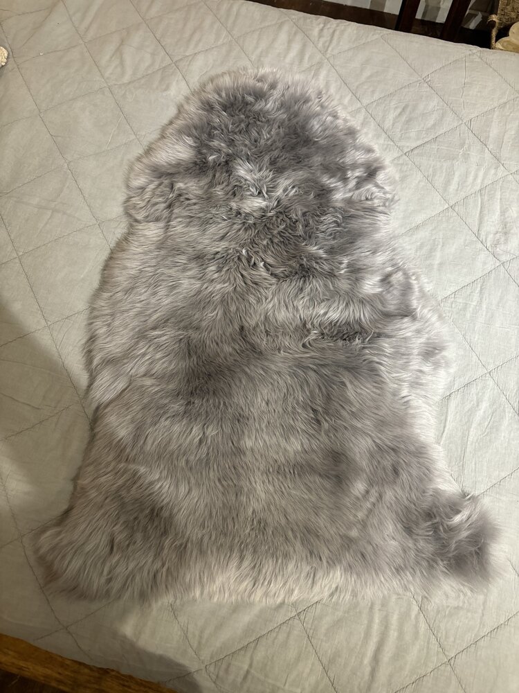 Peau de mouton véritable grise