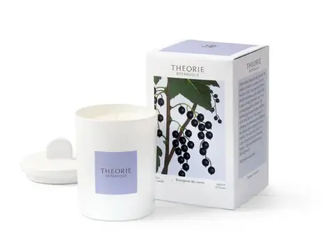 Bougie Bourgeon de cassis