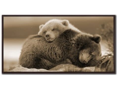 Cadre Ours endormis