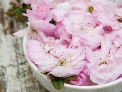 Serviettes de table - Fleurs roses