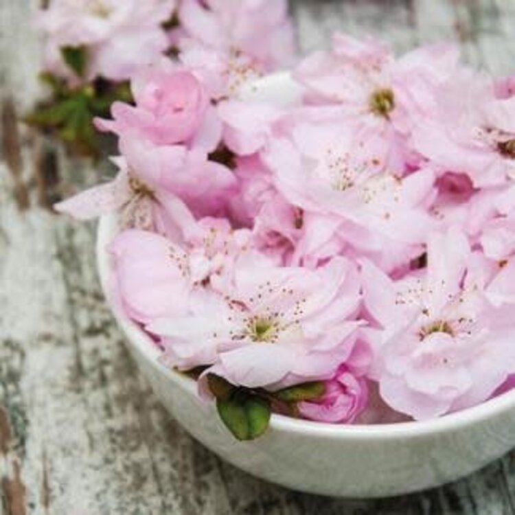 Serviettes de table - Fleurs roses