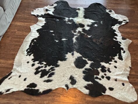 Peau de vache d'Argentine (moyenne)