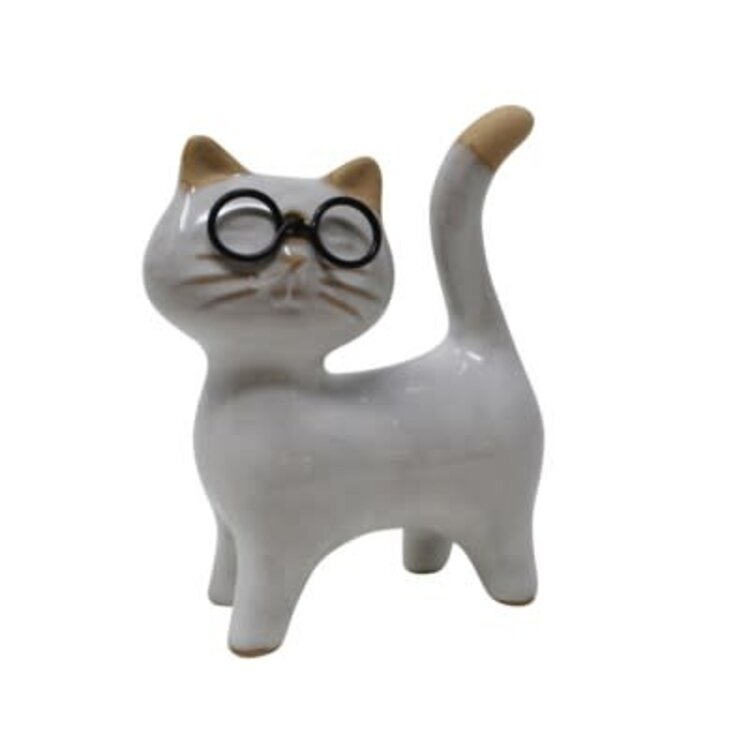 Chat à lunettes
