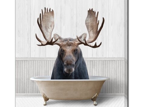 Cadre Bath time moose 16"x 20"