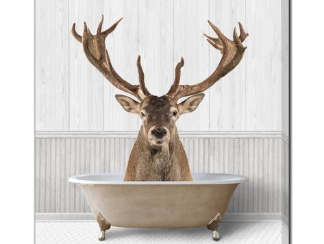 Cadre Bath time deer 16" x 20"