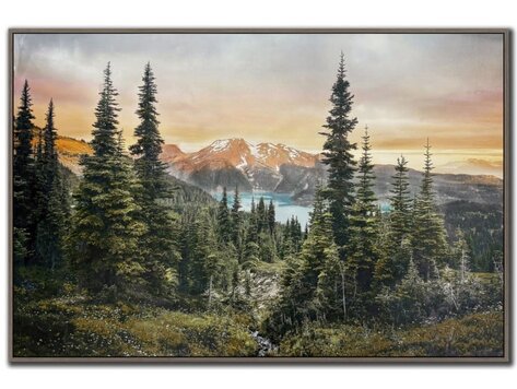 Cadre Alpine Silence