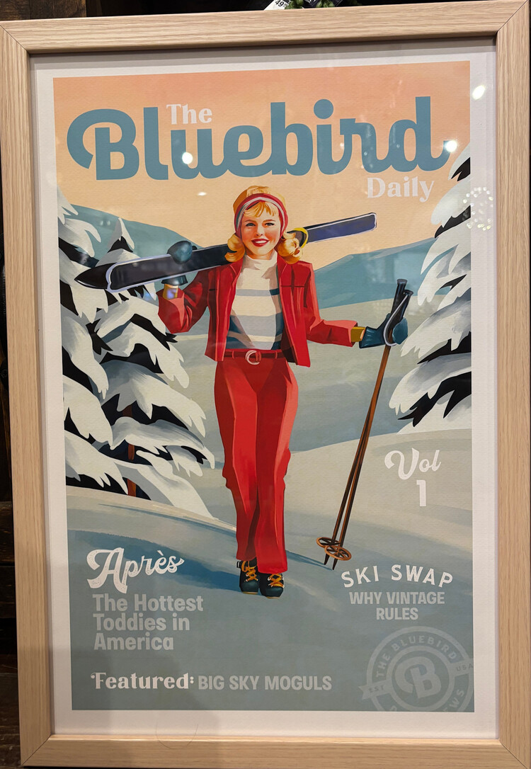 Cadre The Bluebird Daily