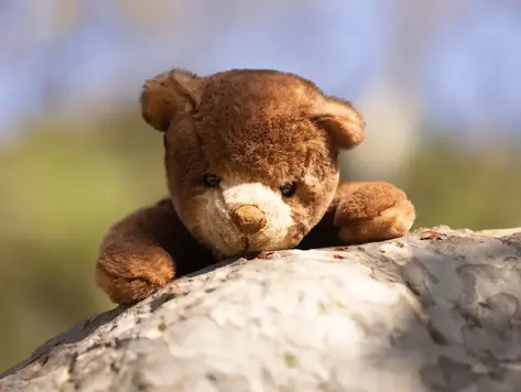 Peluche Ours Ranger brun
